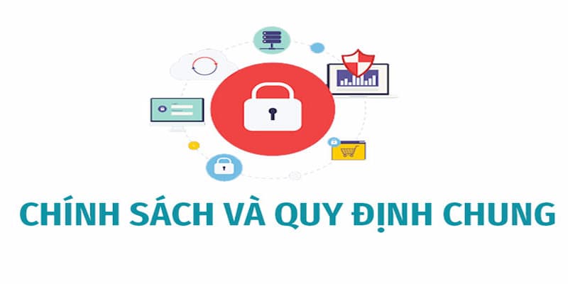 chính sách và quy định chung viva88